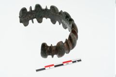 Foto von Bronzearmreif (NHMW-PRAE-025350)